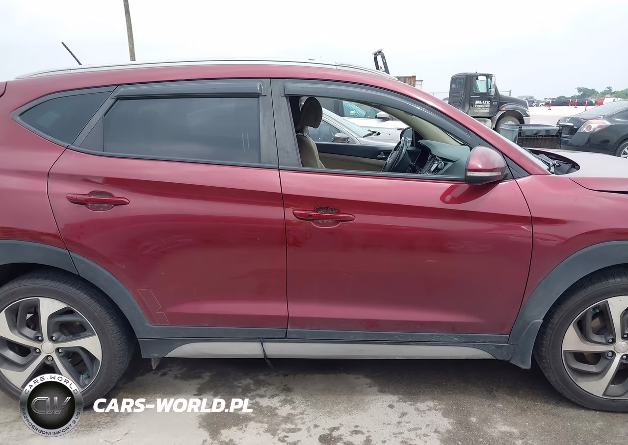 2017 Hyundai Tucson Sport VIN:KM8J33A23HU480225 - 13