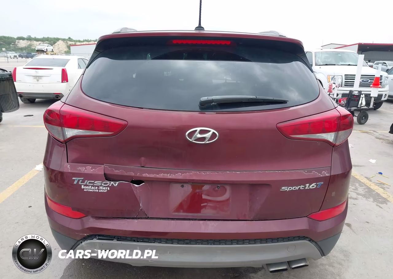 2017 Hyundai Tucson Sport VIN:KM8J33A23HU480225 - 16