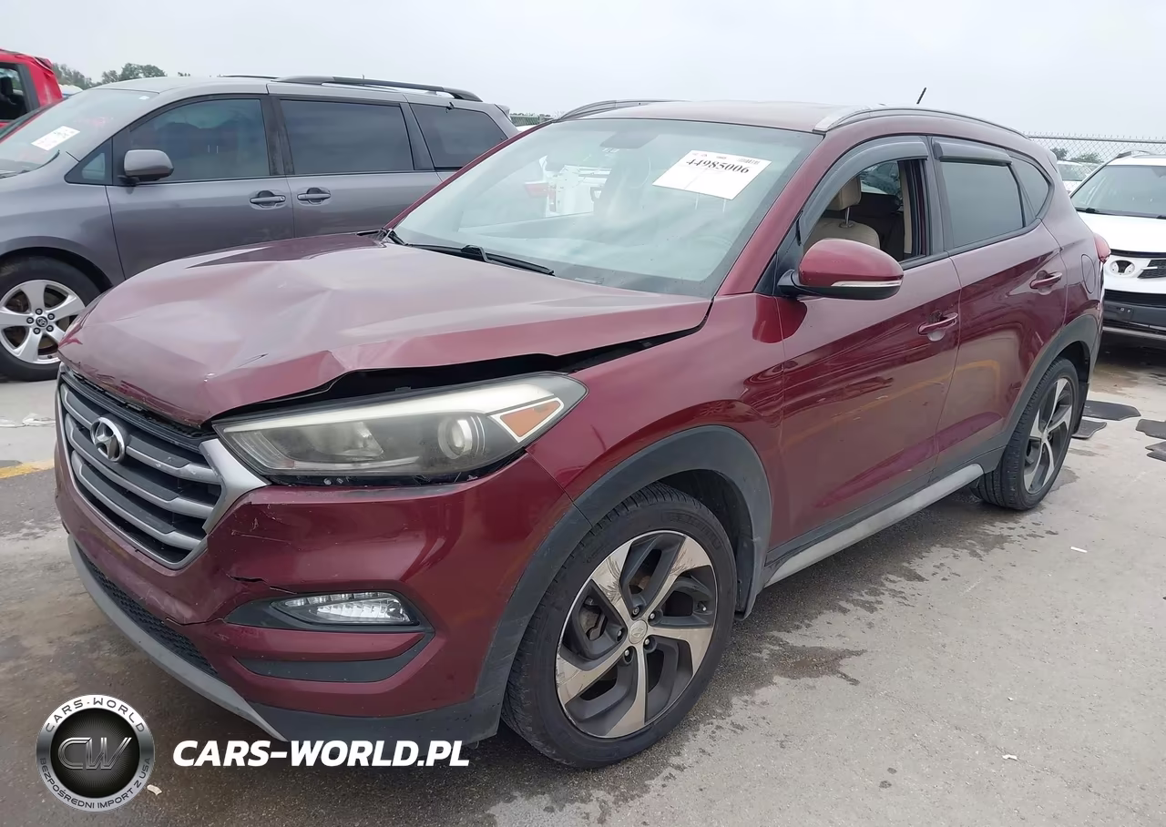2017 Hyundai Tucson Sport VIN:KM8J33A23HU480225 - 2