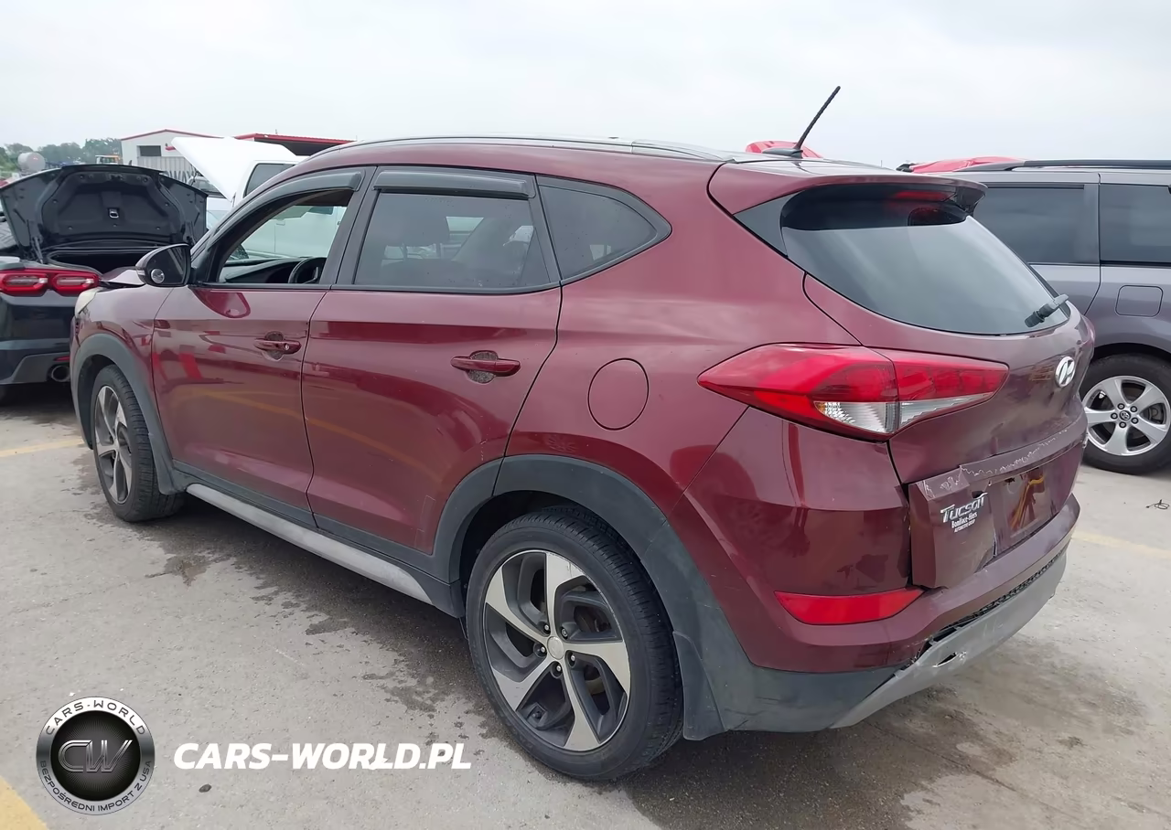 2017 Hyundai Tucson Sport VIN:KM8J33A23HU480225 - 3