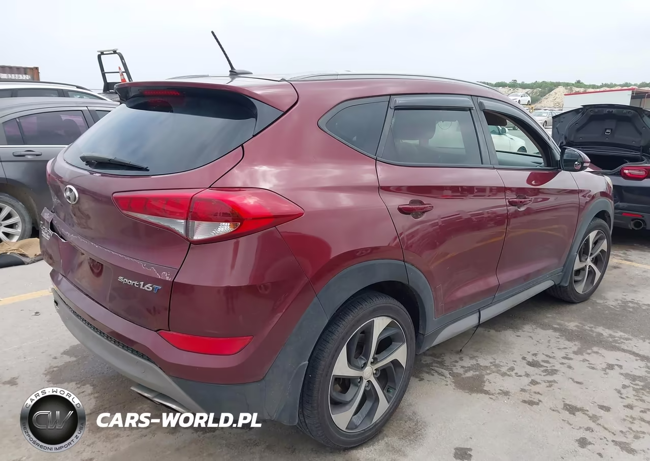 2017 Hyundai Tucson Sport VIN:KM8J33A23HU480225 - 4