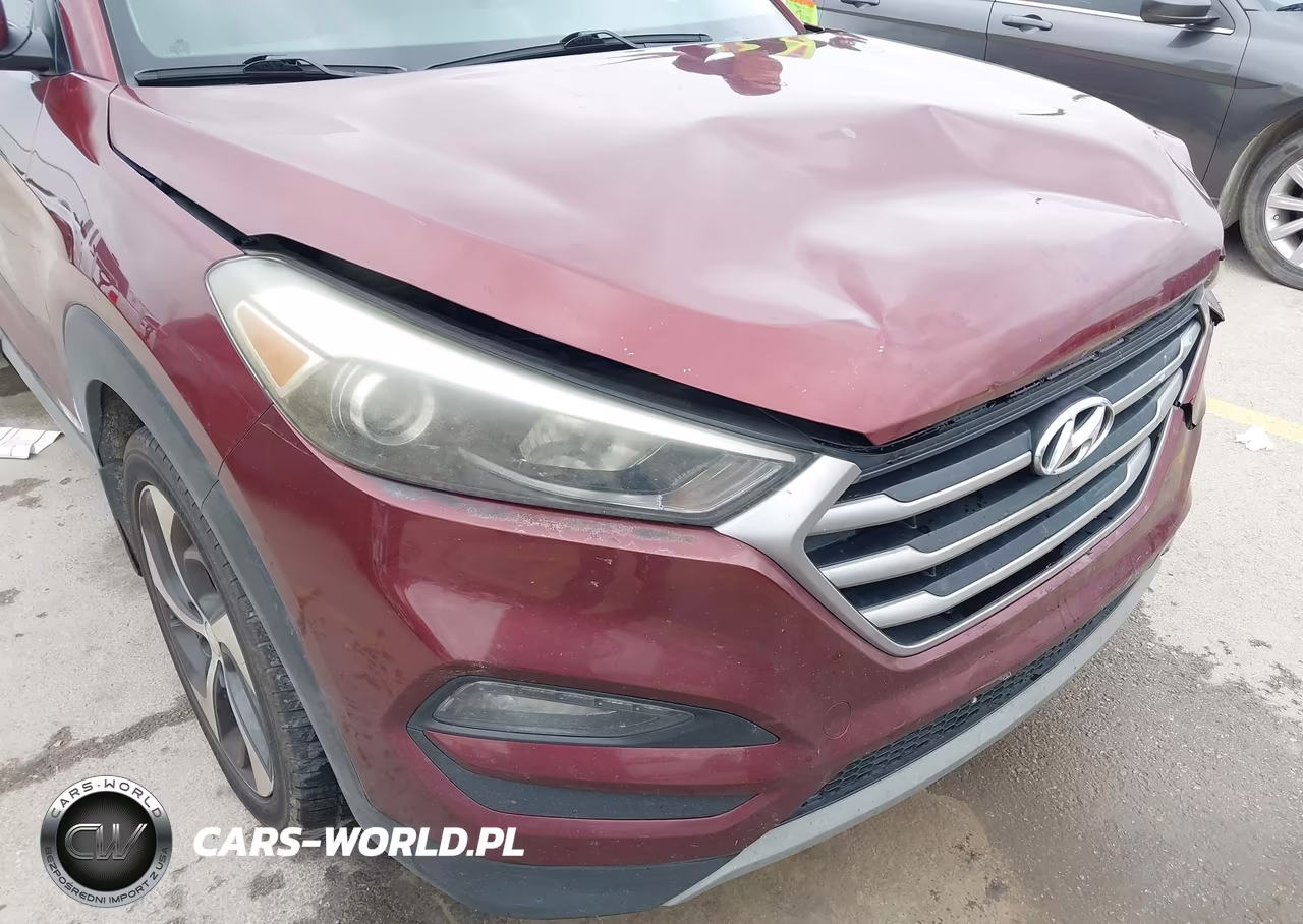 2017 Hyundai Tucson Sport VIN:KM8J33A23HU480225 - 6