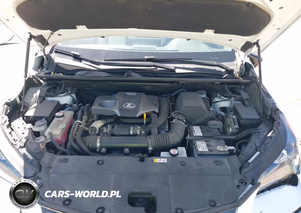 2021 Lexus Nx 300 F Sport VIN:JTJSARBZ2M5023534 - 10