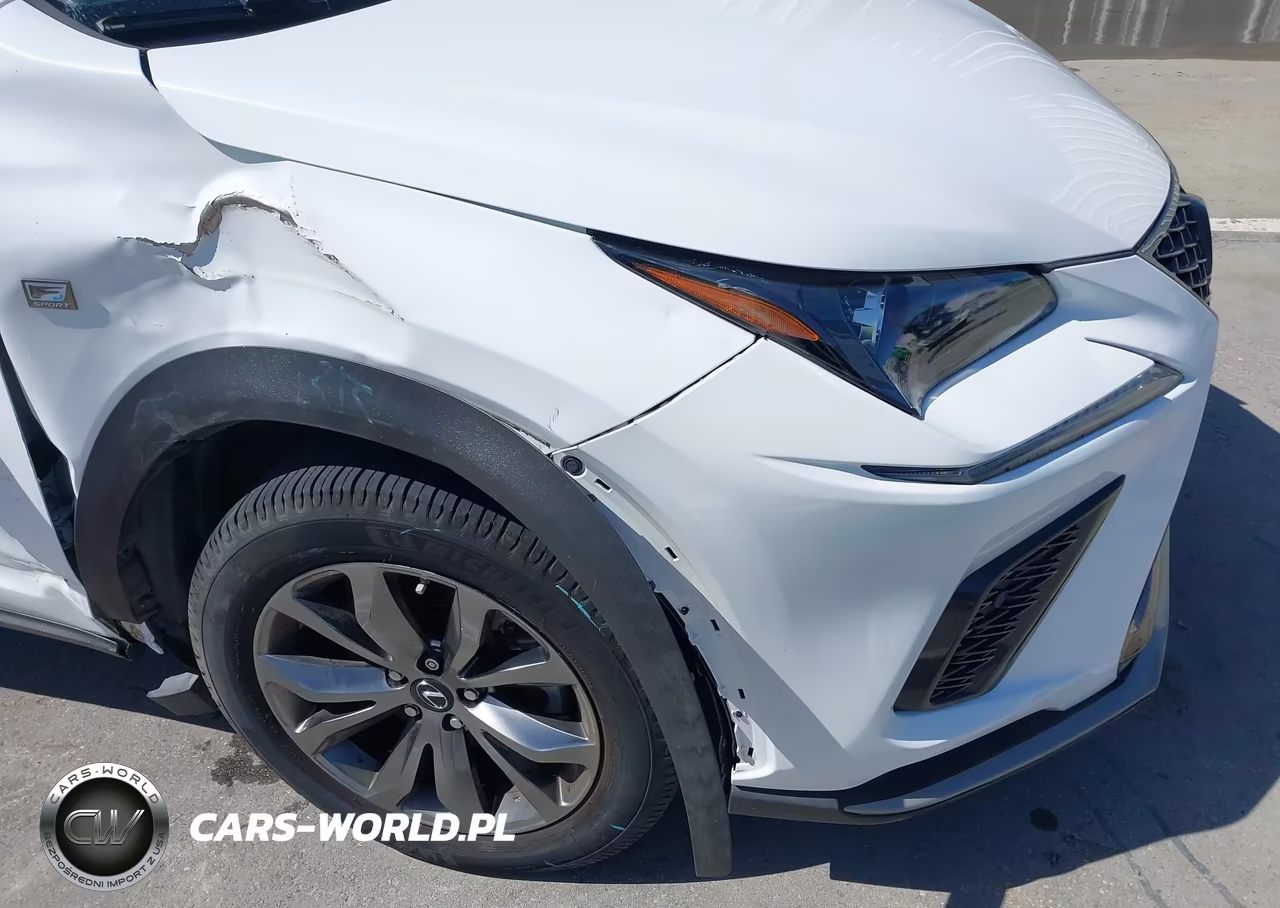2021 Lexus Nx 300 F Sport VIN:JTJSARBZ2M5023534 - 19