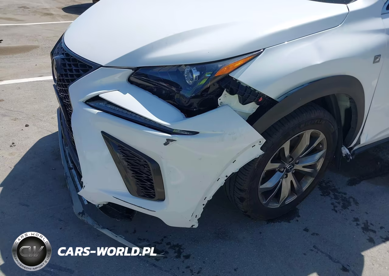 2021 Lexus Nx 300 F Sport VIN:JTJSARBZ2M5023534 - 6