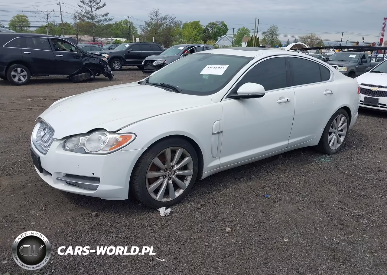 2011 Jaguar Xf Premium VIN:SAJWA0GB3BLR85671 - 2