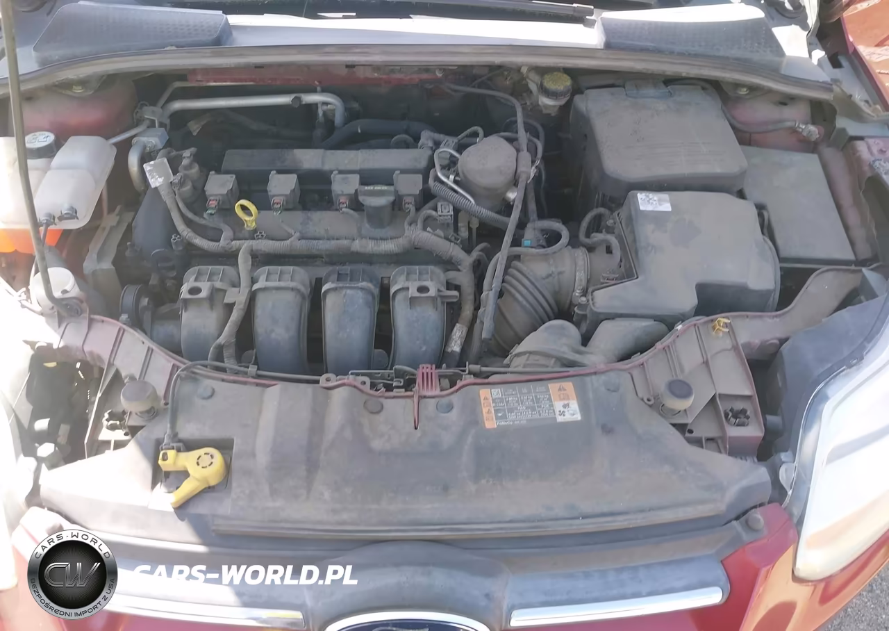 2014 Ford Focus Se VIN:1FADP3F21EL321483 - 10