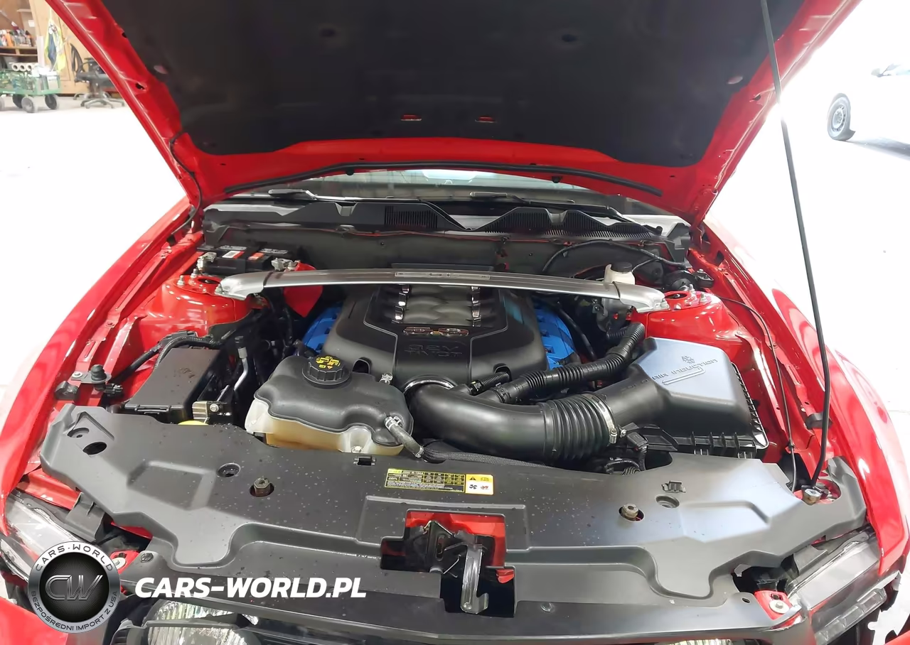 2012 Ford Mustang Gt Premium VIN:1ZVBP8FF7C5229276 - 10