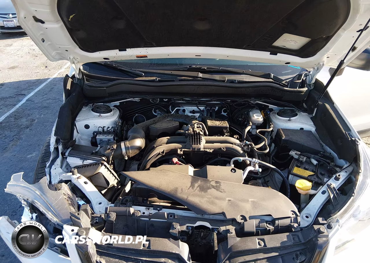 2018 Subaru Forester 2.5I VIN:JF2SJABC2JH451731 - 10