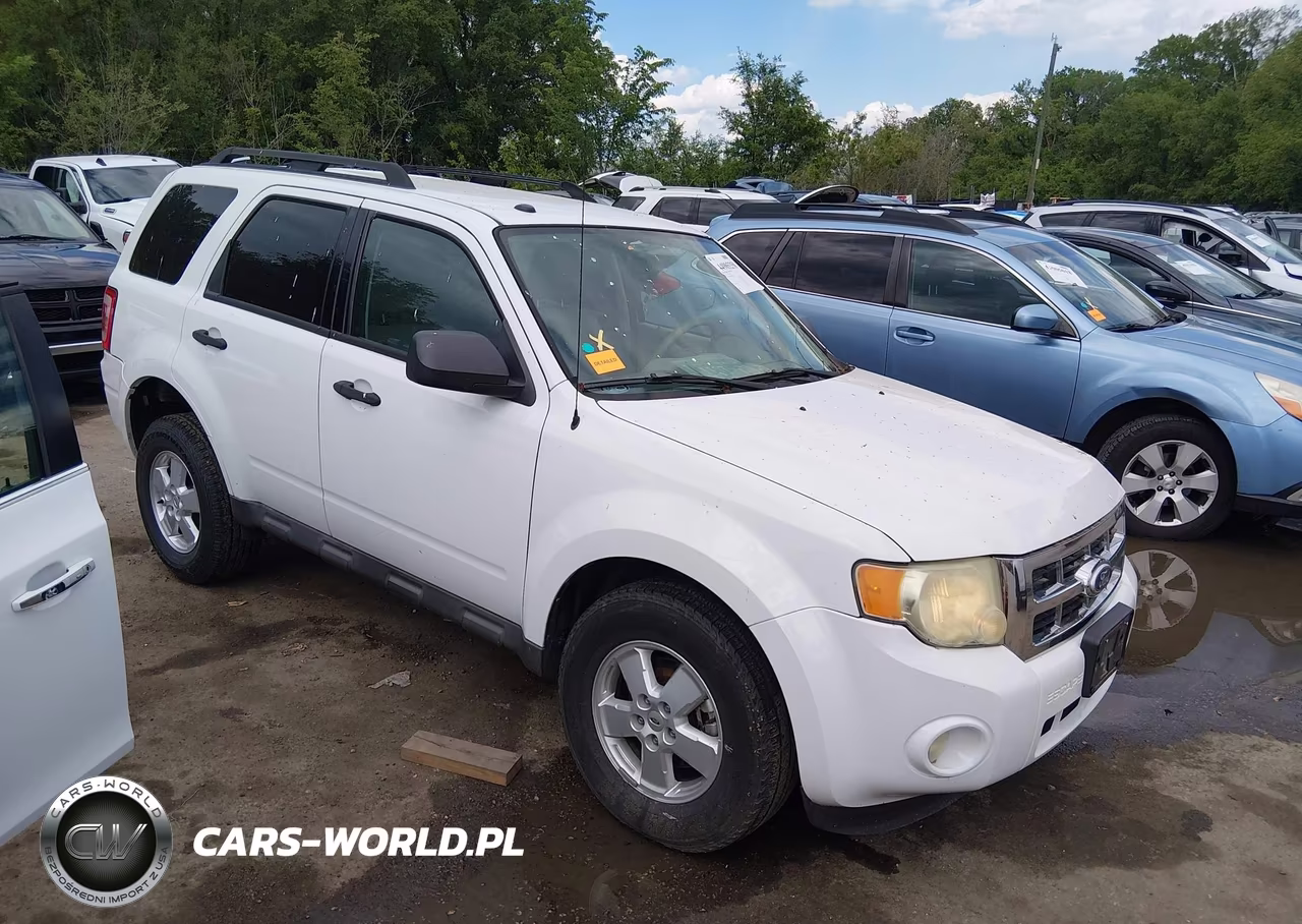 2010 Ford Escape Xlt
