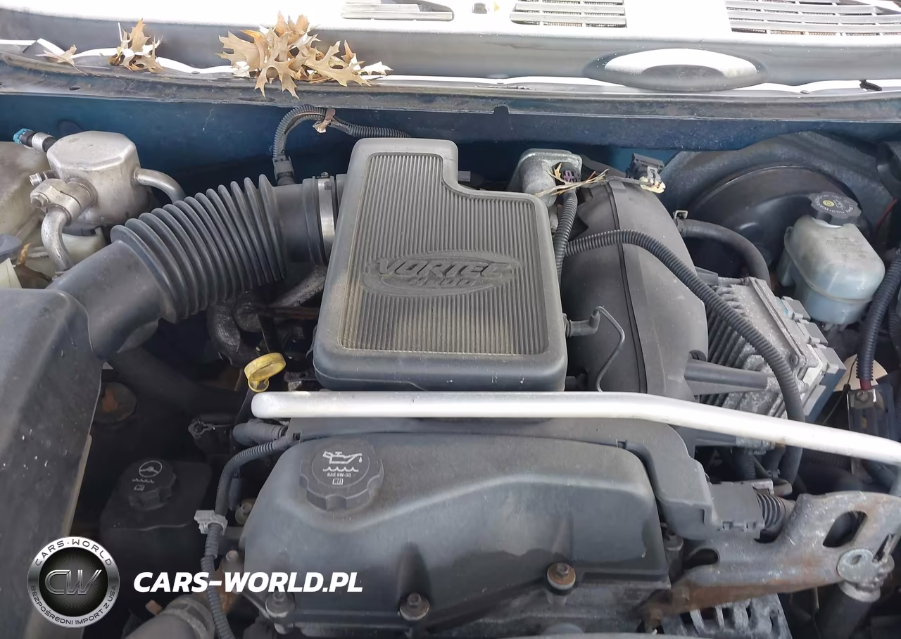 2003 Chevrolet Trailblazer Ls VIN:1GNDT13S032365256 - 10