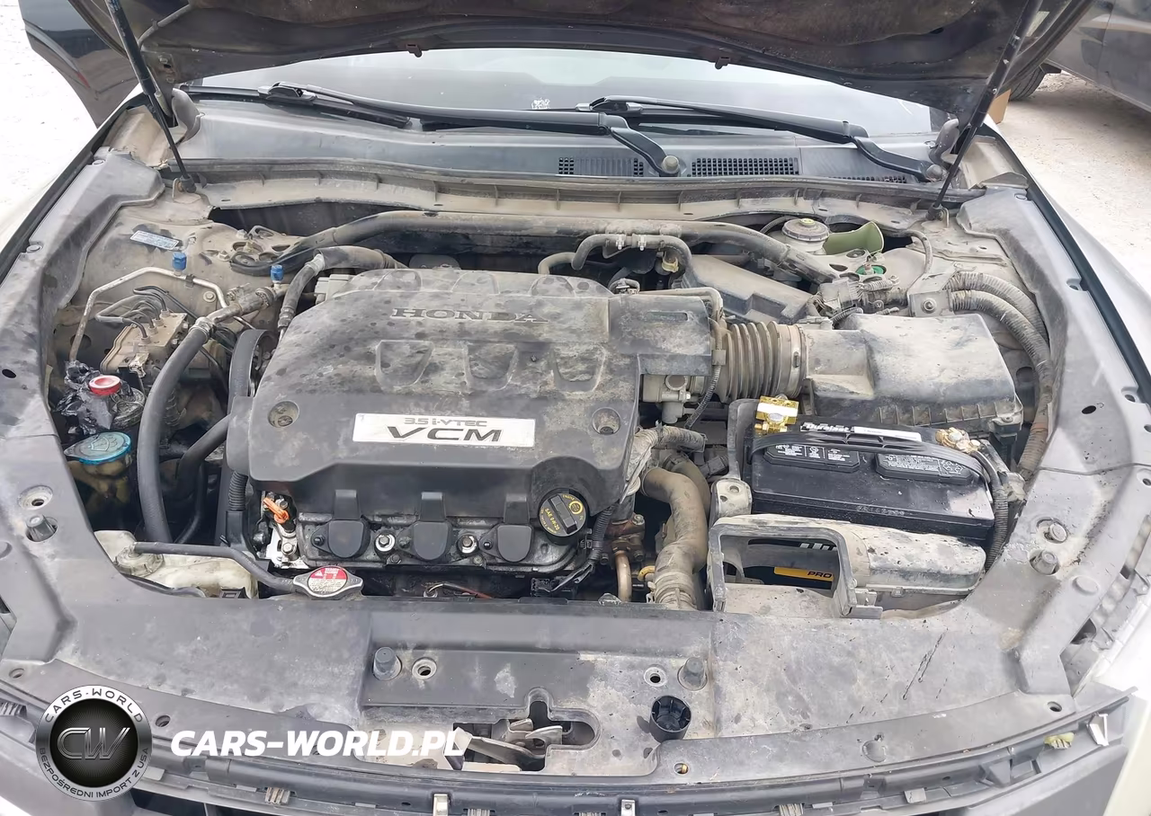 2010 Honda Accord Crosstour Ex-L VIN:5J6TF1H5XAL014466 - 10