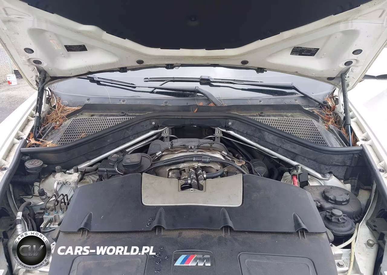 2012 BMW X6 M VIN:5YMGZ0C53CLL29555 - 10