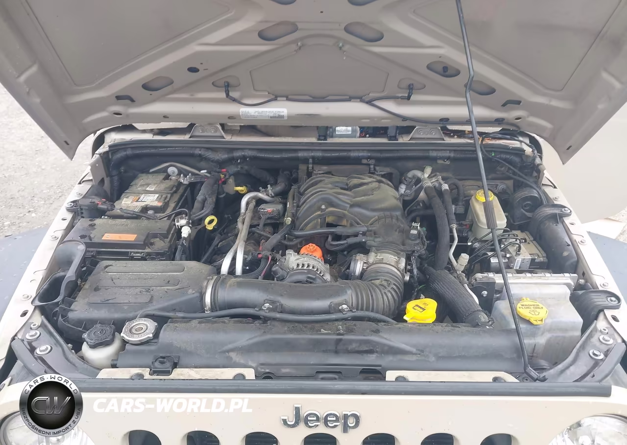 2016 Jeep Wrangler Unlimited Sport VIN:1C4BJWDG0GL253134 - 10