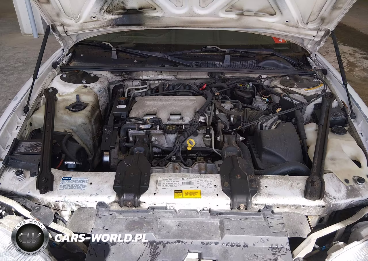 1997 Chevrolet Lumina Ls VIN:2G1WL52M4V9234551 - 10