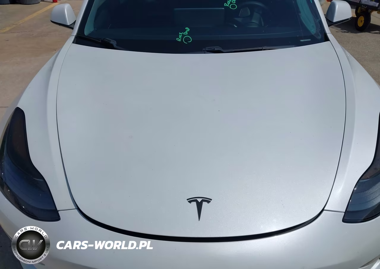 2021 Tesla Model 3 Standard Range Plus Rear-Wheel Drive VIN:5YJ3E1EA8MF919421 - 10