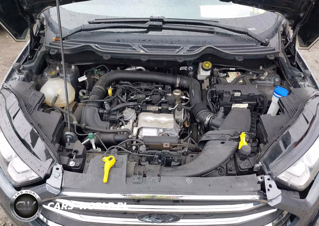 2020 Ford Ecosport Se VIN:MAJ3S2GE3LC354737 - 10