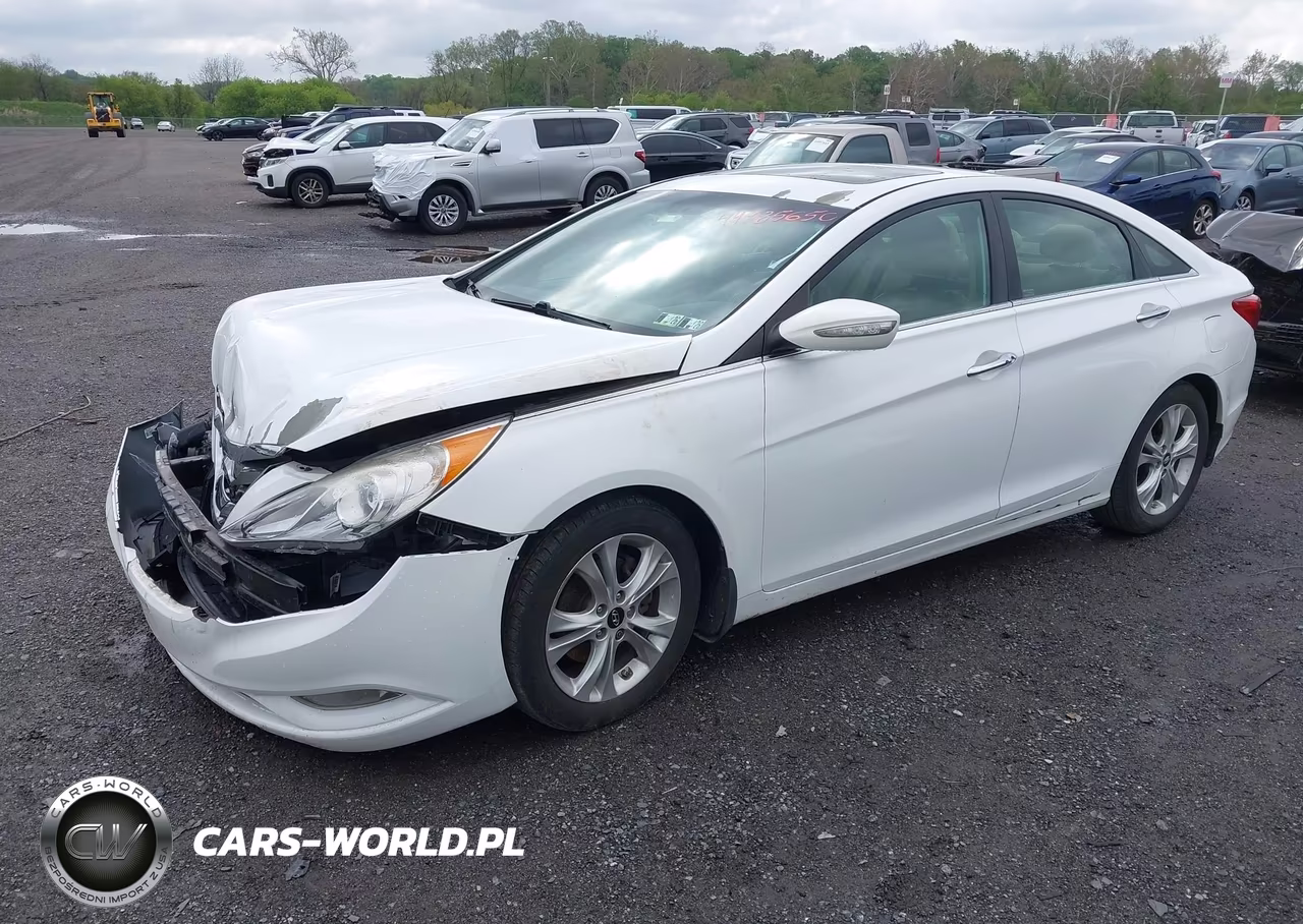 2013 Hyundai Sonata Limited VIN:5NPEC4ACXDH691480 - 2