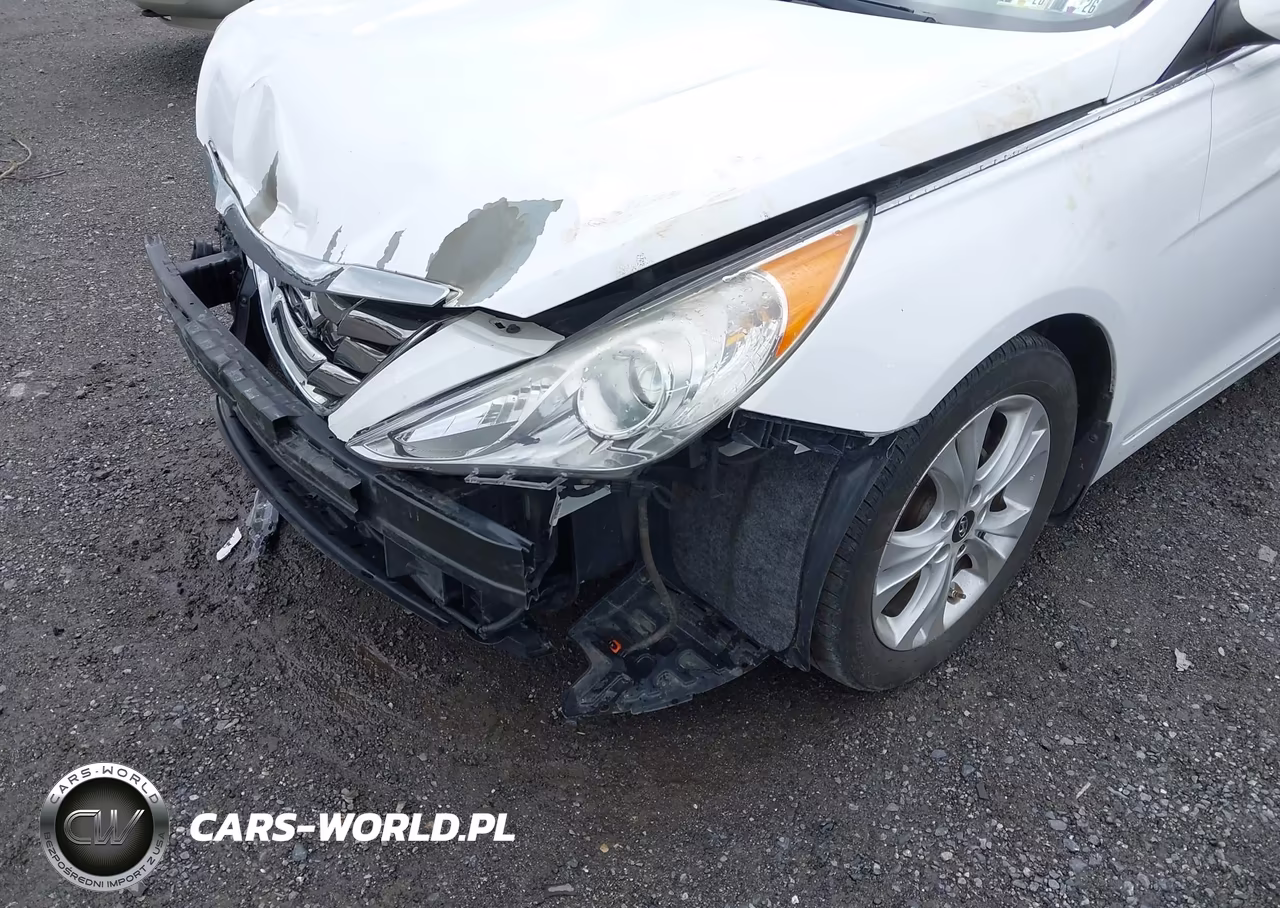 2013 Hyundai Sonata Limited VIN:5NPEC4ACXDH691480 - 6