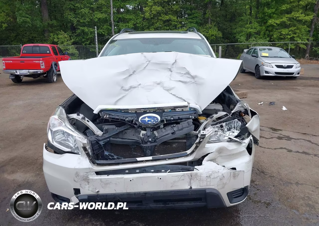 2016 Subaru Forester 2.5I Premium VIN:JF2SJADC7GH535436 - 12