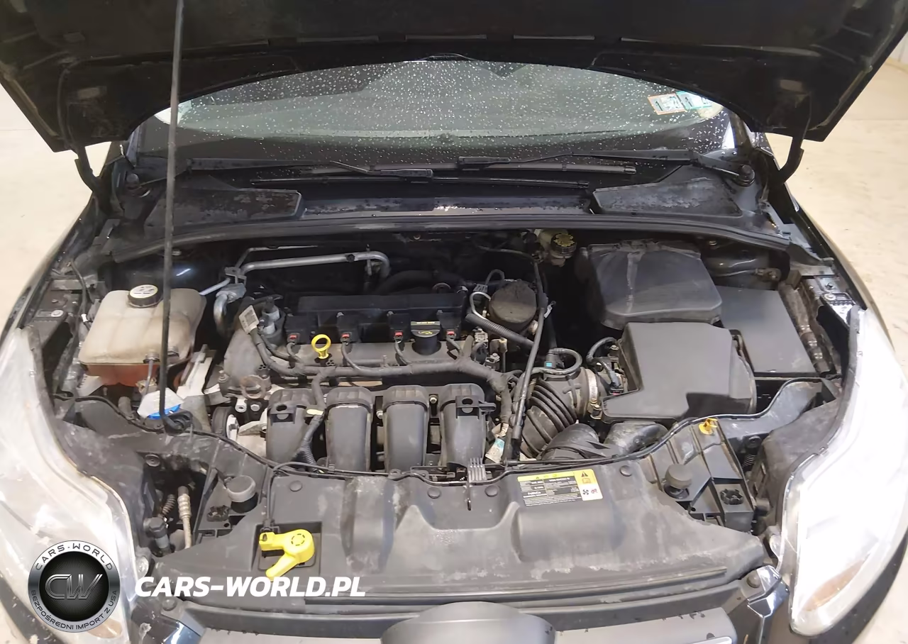 2013 Ford Focus Se VIN:1FADP3F23DL276447 - 10