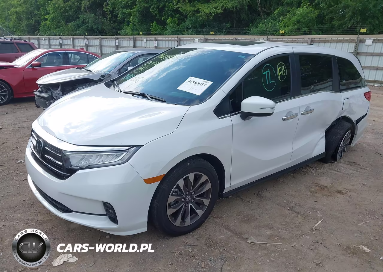 2024 Honda Odyssey Ex-L VIN:5FNRL6H62RB068146 - 2