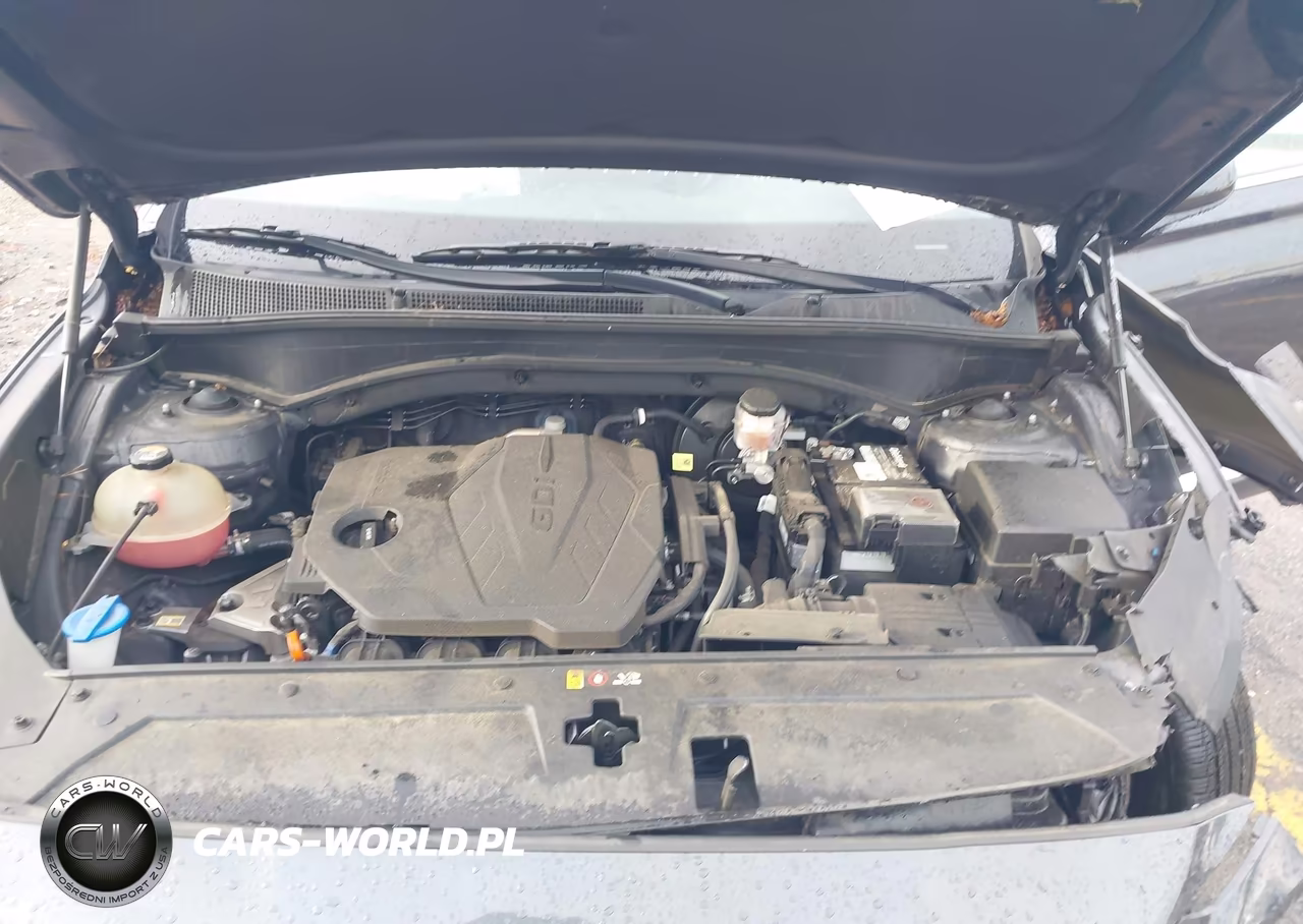 2021 Hyundai Santa Fe Sel VIN:5NMS24AJ9MH365638 - 10