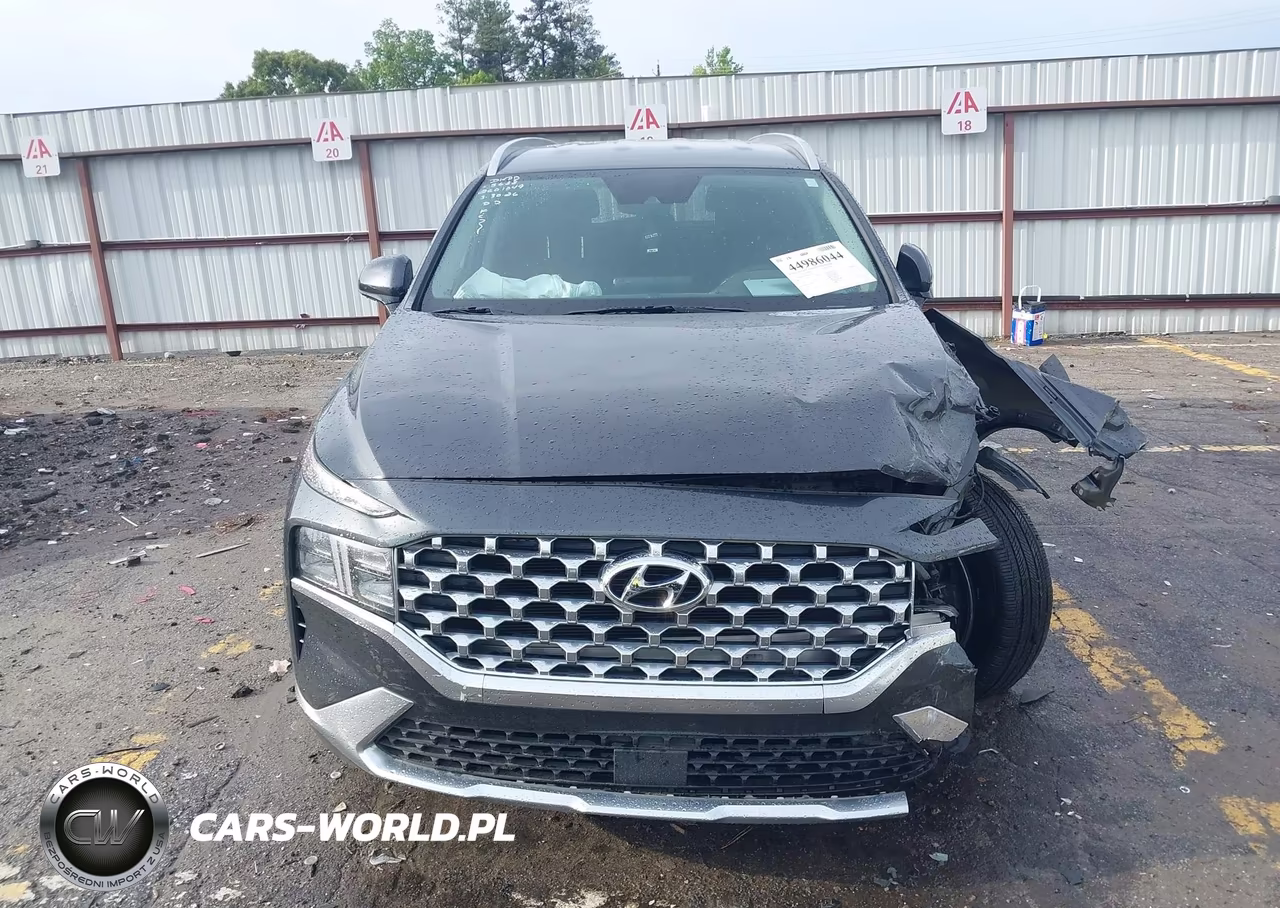 2021 Hyundai Santa Fe Sel VIN:5NMS24AJ9MH365638 - 12