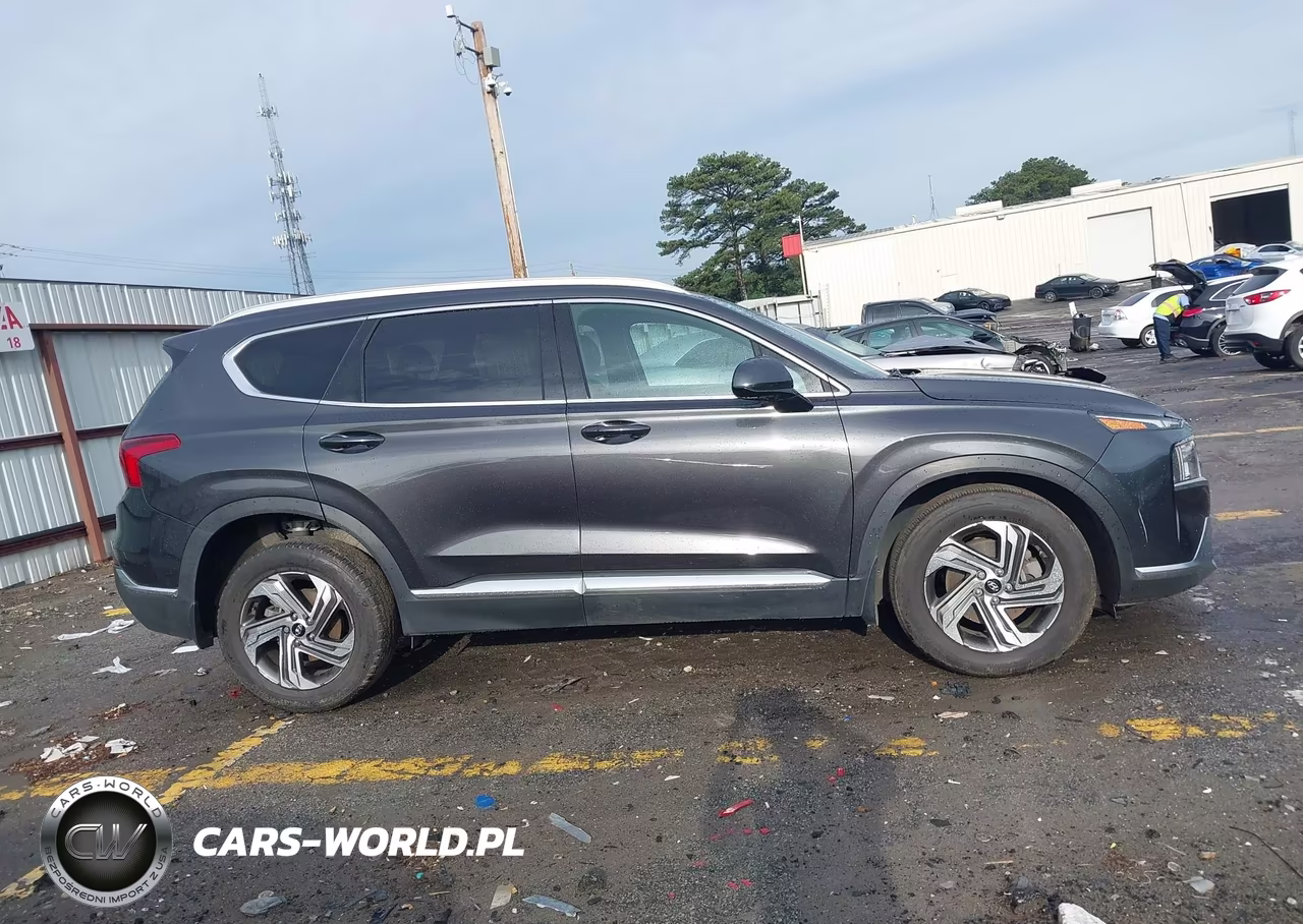 2021 Hyundai Santa Fe Sel VIN:5NMS24AJ9MH365638 - 13