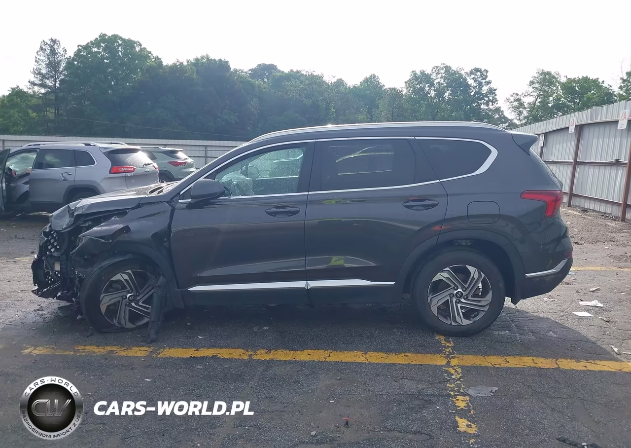 2021 Hyundai Santa Fe Sel VIN:5NMS24AJ9MH365638 - 14