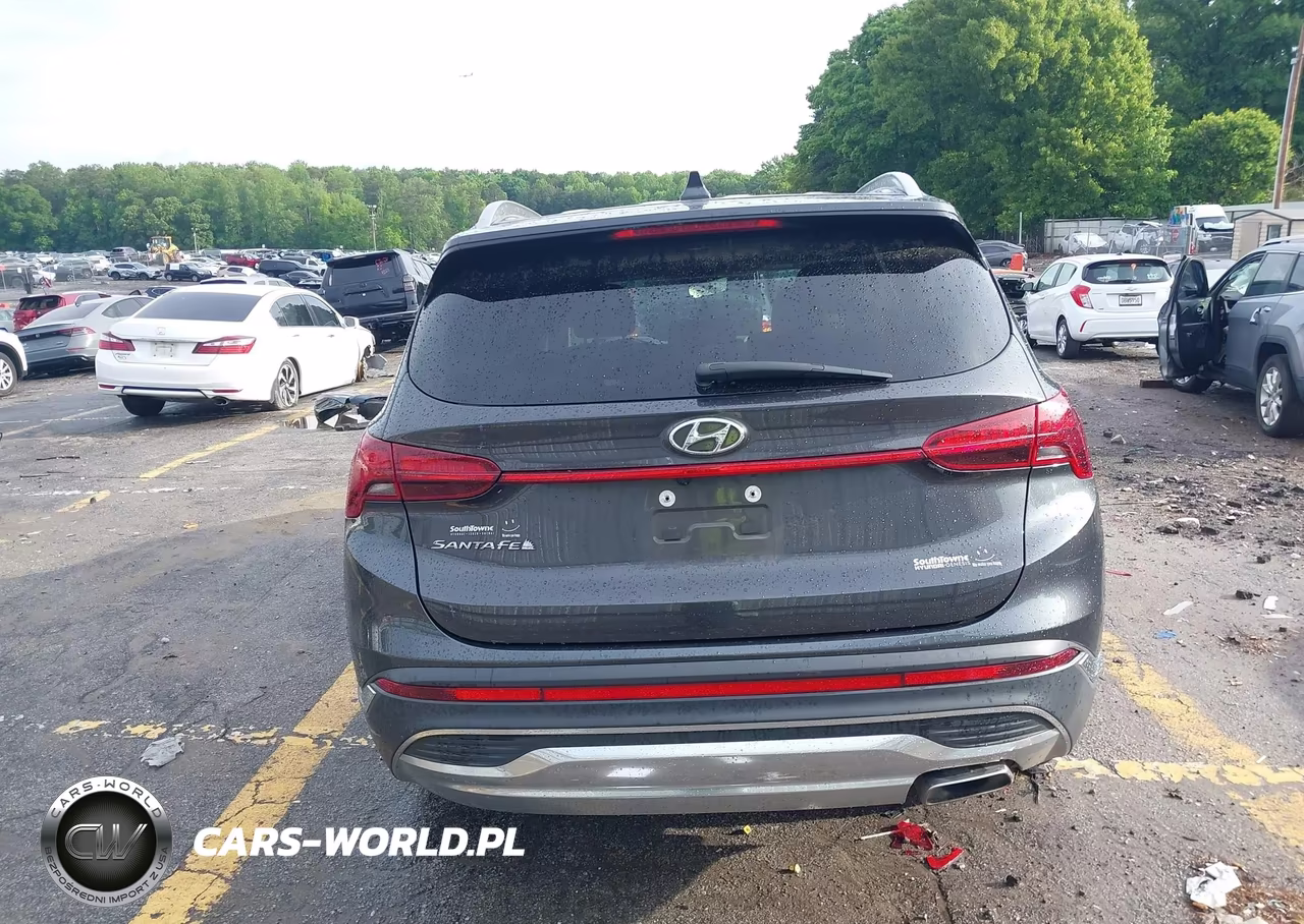2021 Hyundai Santa Fe Sel VIN:5NMS24AJ9MH365638 - 16
