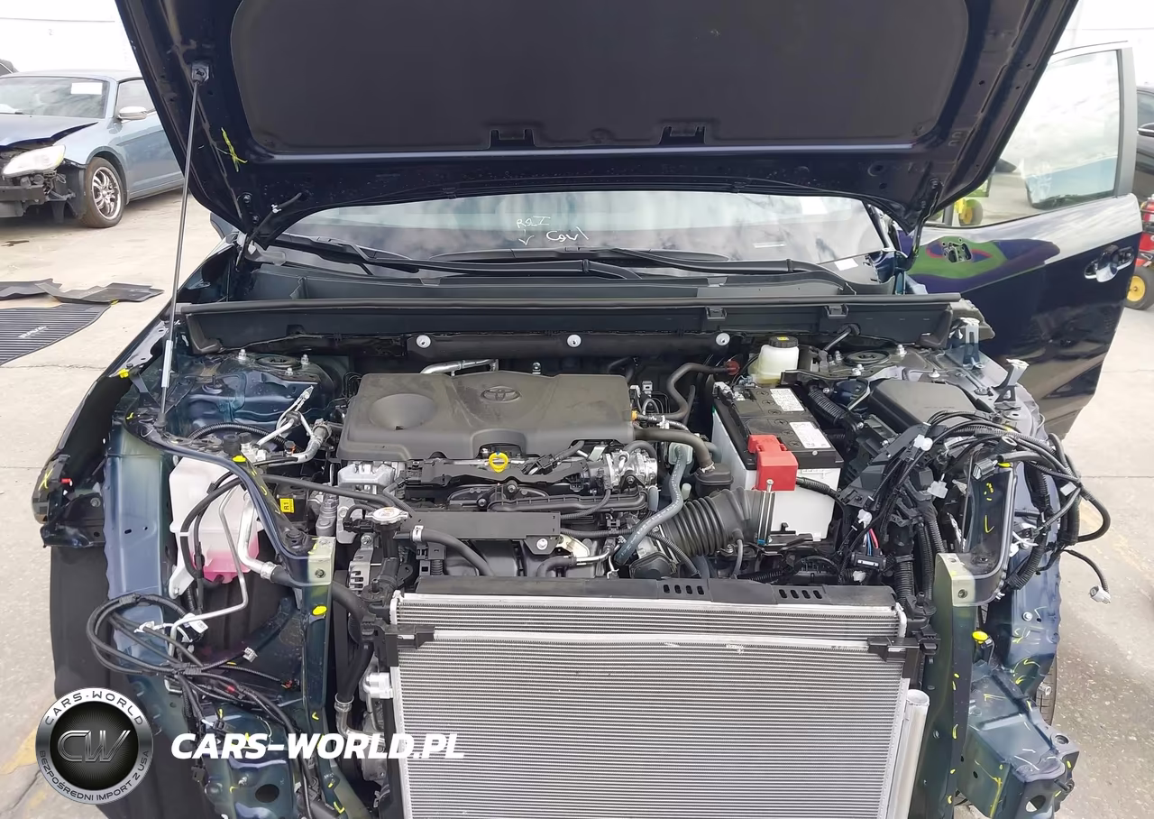 2025 Toyota Rav4 Xle VIN:2T3W1RFV0SW439812 - 10