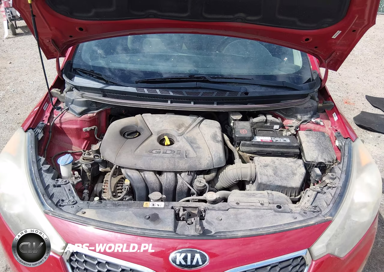 2014 Kia Forte Ex VIN:KNAFX4A83E5176579 - 10