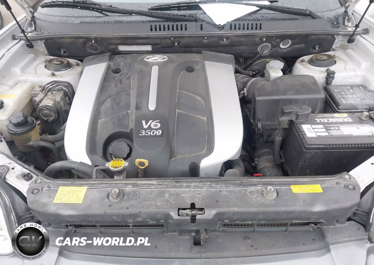 2006 Hyundai Santa Fe Gls-Limited VIN:KM8SC73E96U044060 - 10
