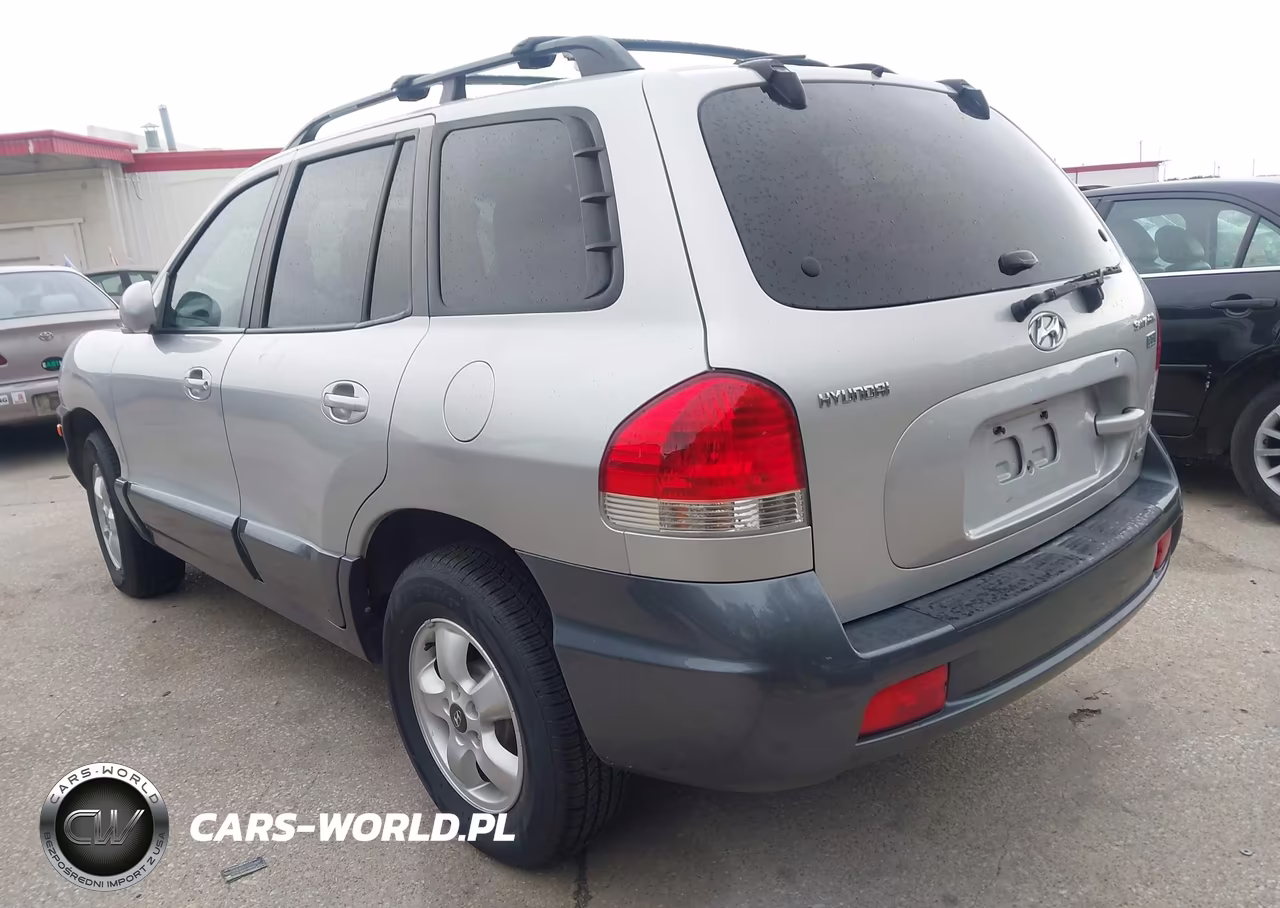 2006 Hyundai Santa Fe Gls-Limited VIN:KM8SC73E96U044060 - 3