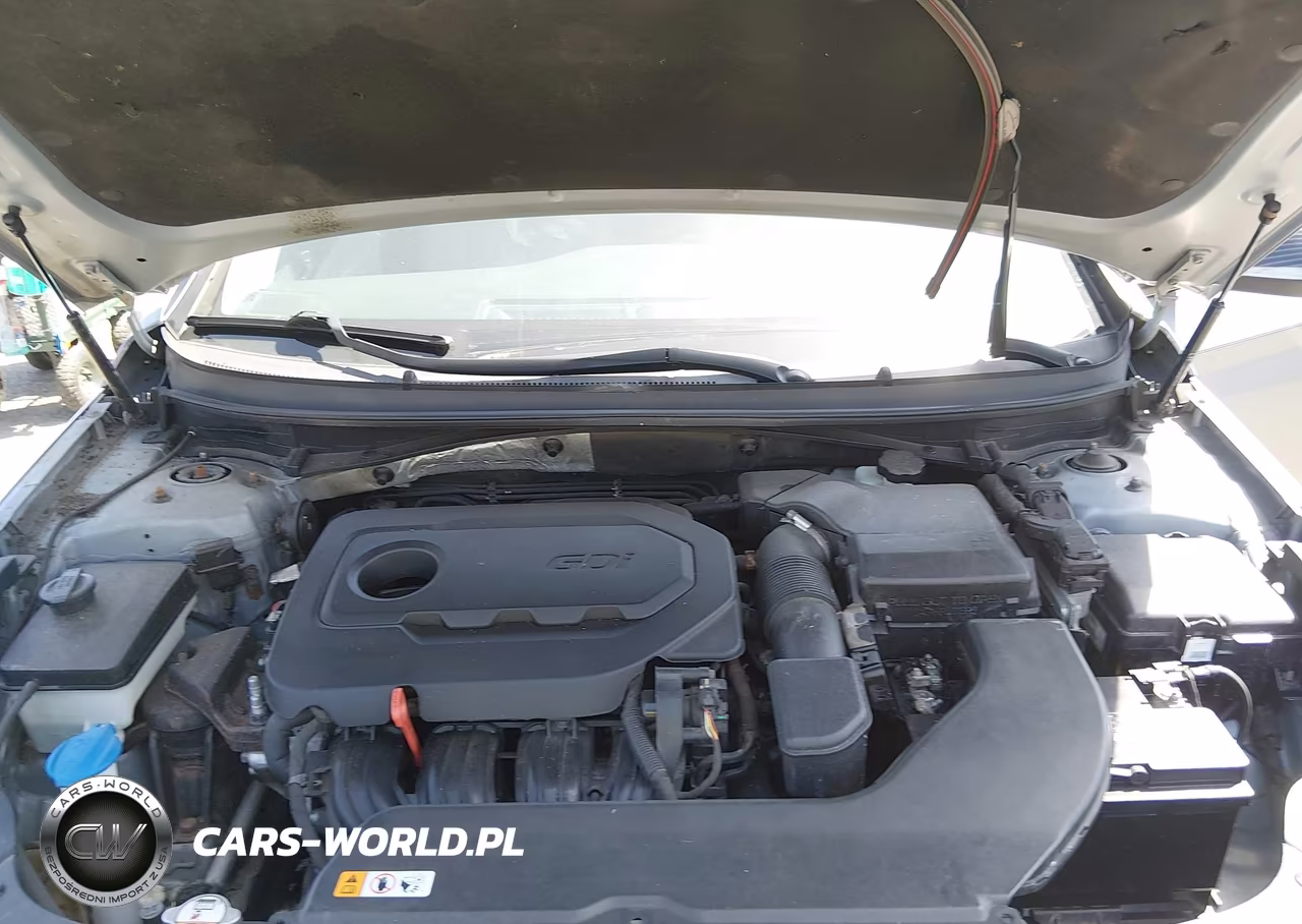 2016 Hyundai Sonata Se VIN:5NPE24AF7GH297226 - 10