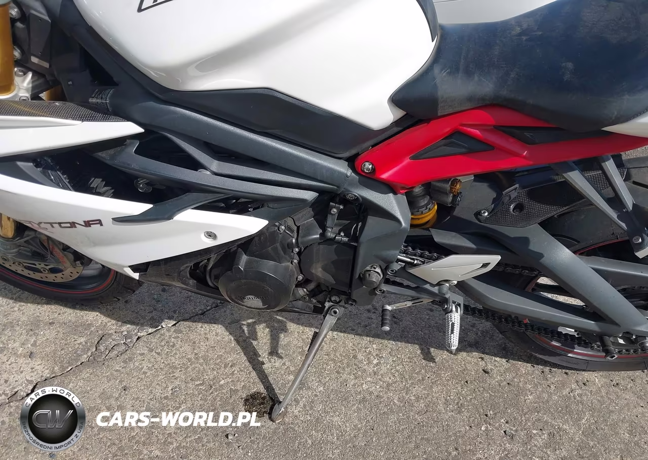 2013 Triumph Motorcycle Daytona 675-R VIN:SMTA02YK4DJ587505 - 9