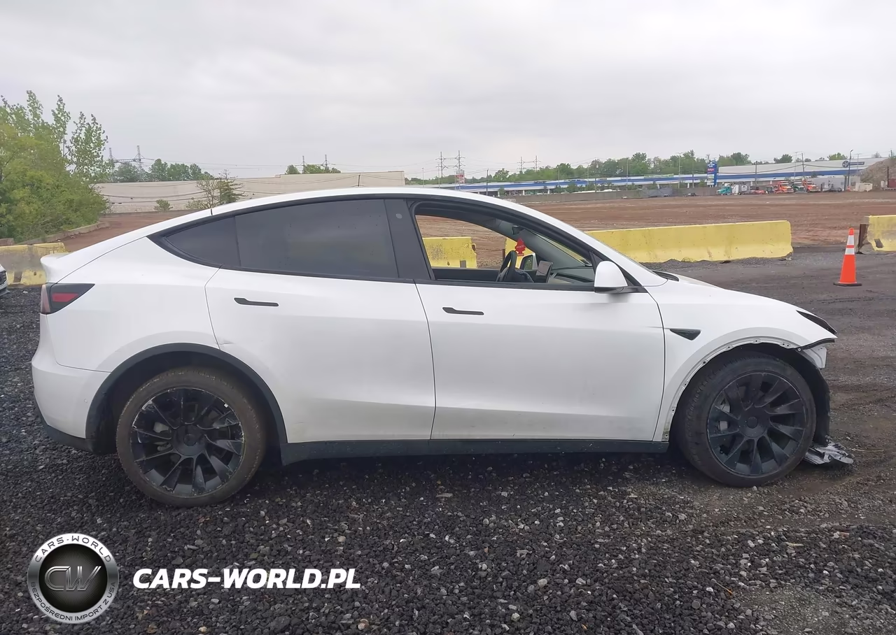 2020 Tesla Model Y Long Range Dual Motor All-Wheel Drive VIN:5YJYGDEE0LF012701 - 13