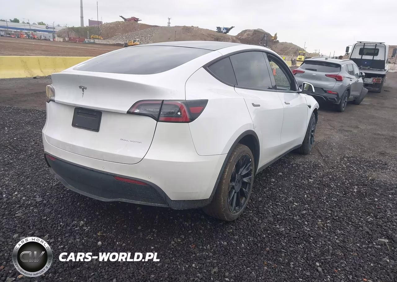 2020 Tesla Model Y Long Range Dual Motor All-Wheel Drive VIN:5YJYGDEE0LF012701 - 4