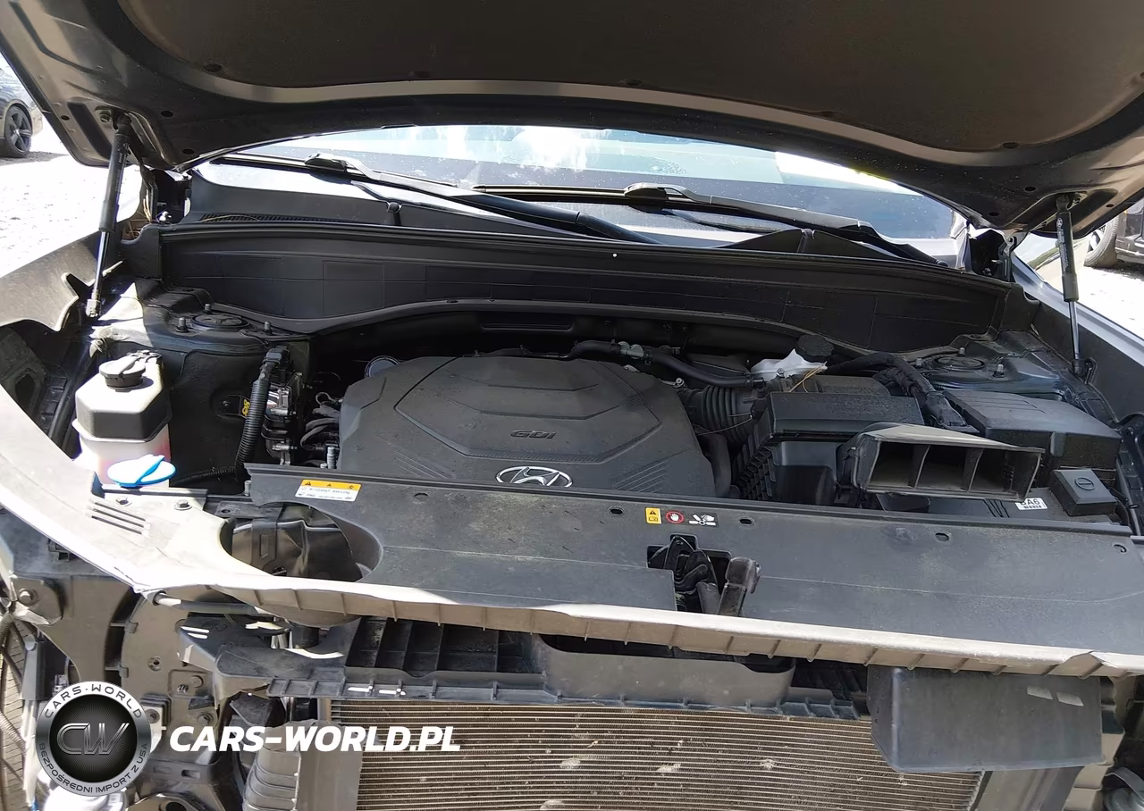 2023 Hyundai Palisade Sel VIN:KM8R2DGEXPU513233 - 10