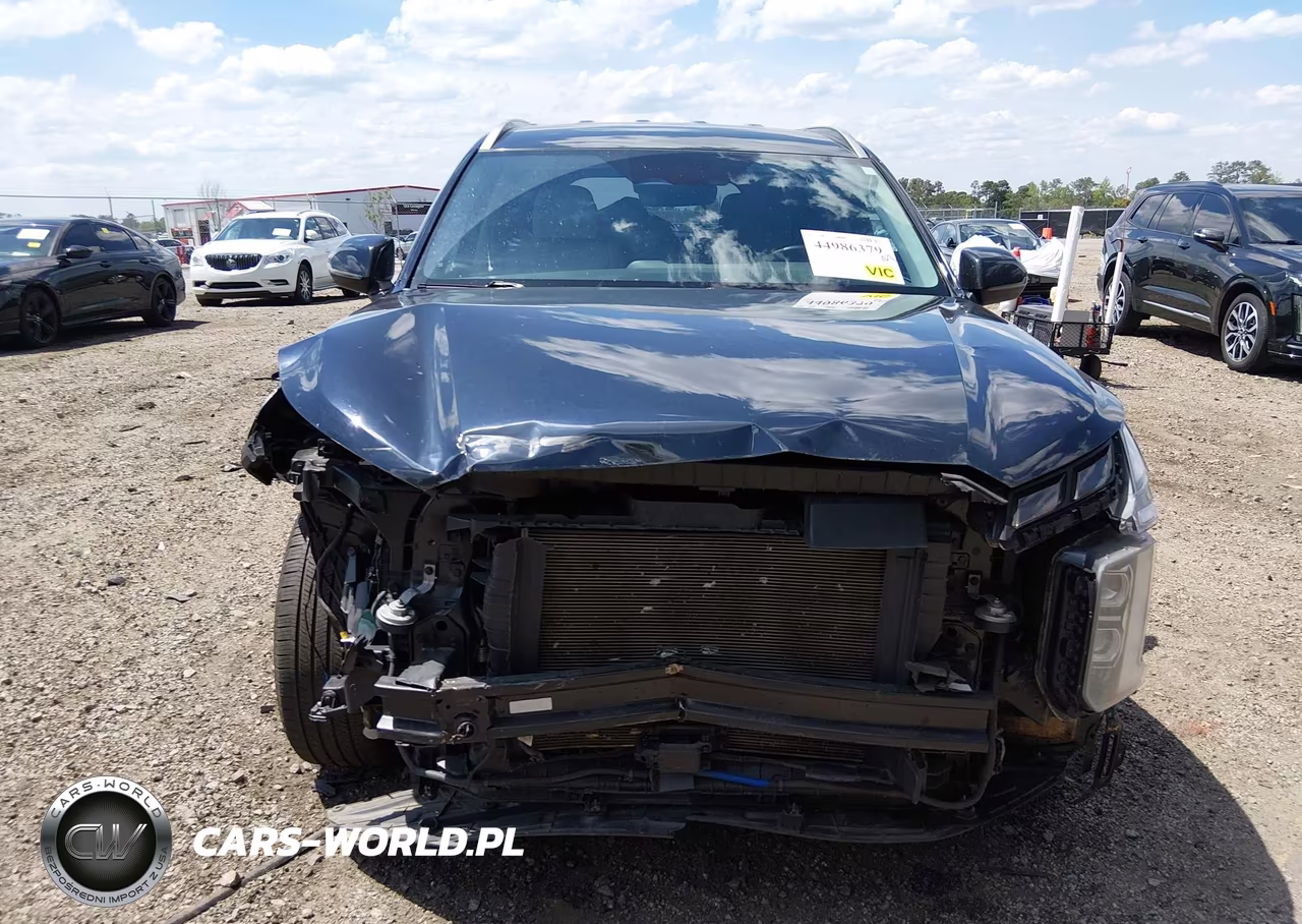 2023 Hyundai Palisade Sel VIN:KM8R2DGEXPU513233 - 13