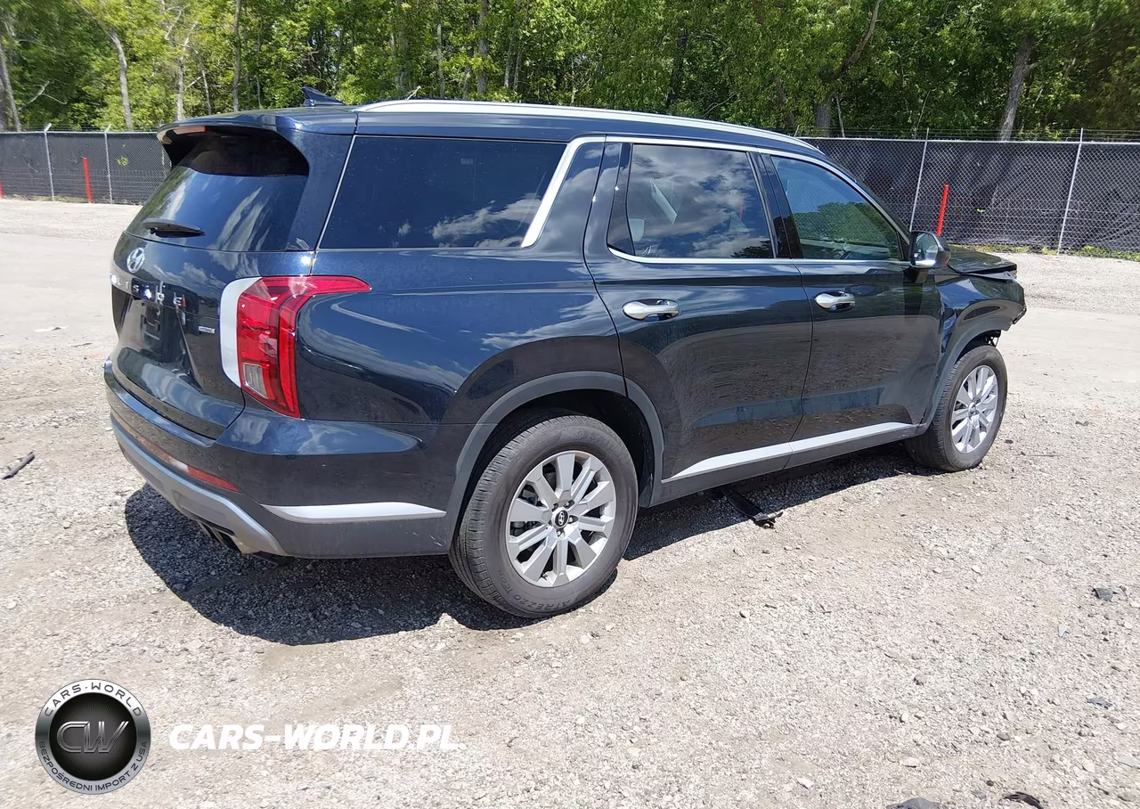 2023 Hyundai Palisade Sel VIN:KM8R2DGEXPU513233 - 4