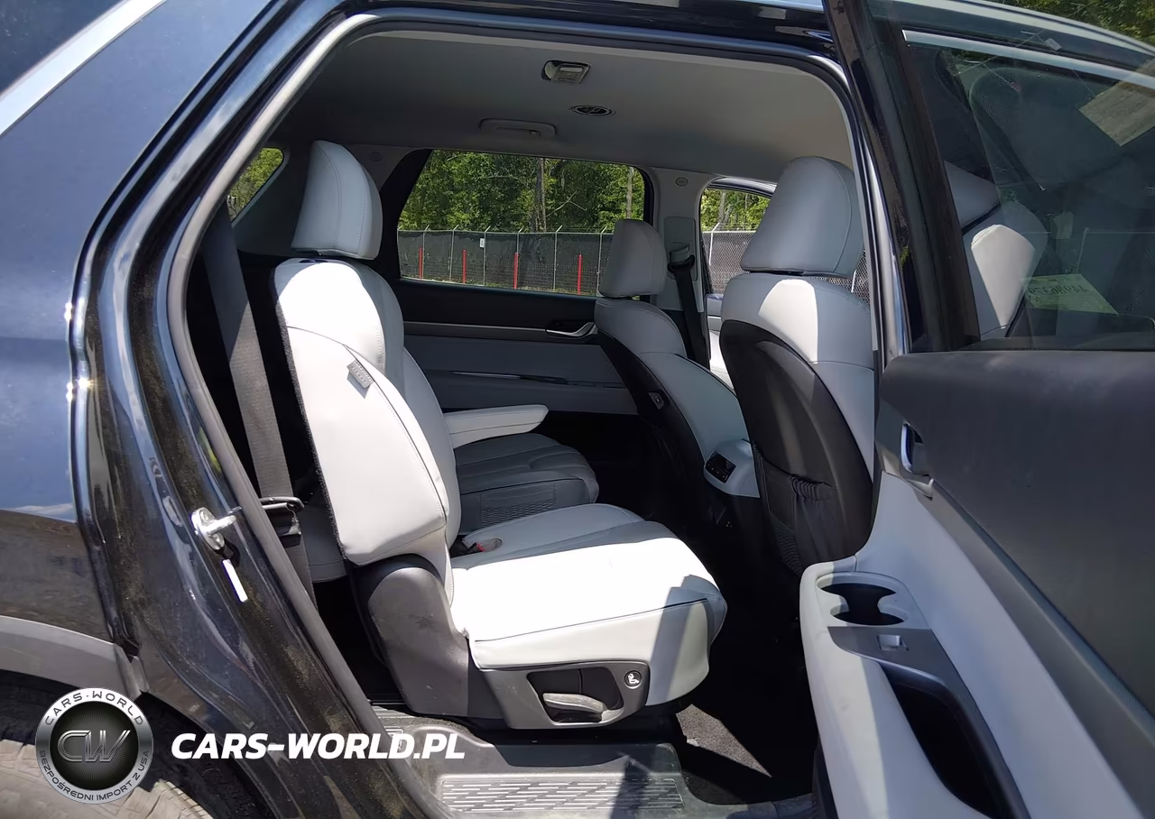 2023 Hyundai Palisade Sel VIN:KM8R2DGEXPU513233 - 8