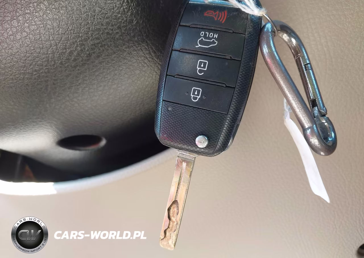 2014 Kia Sorento Lx VIN:5XYKTCA60EG541166 - 11