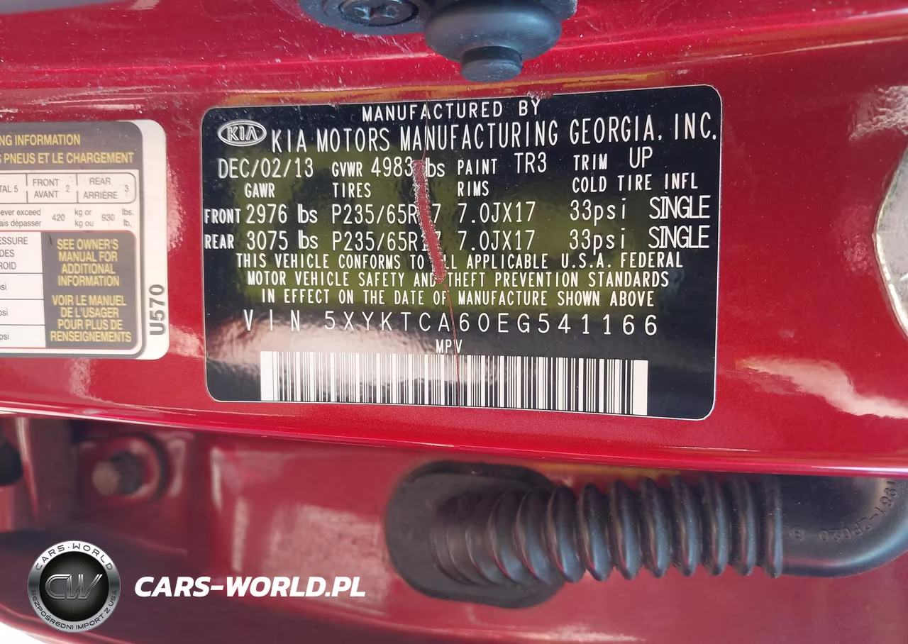 2014 Kia Sorento Lx VIN:5XYKTCA60EG541166 - 9