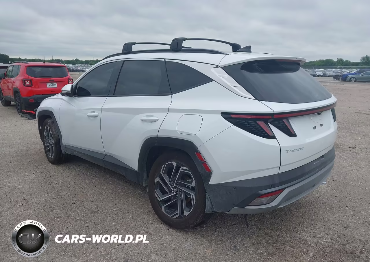 2025 Hyundai Tucson Hybrid Limited VIN:KM8JEDD17SU393082 - 3