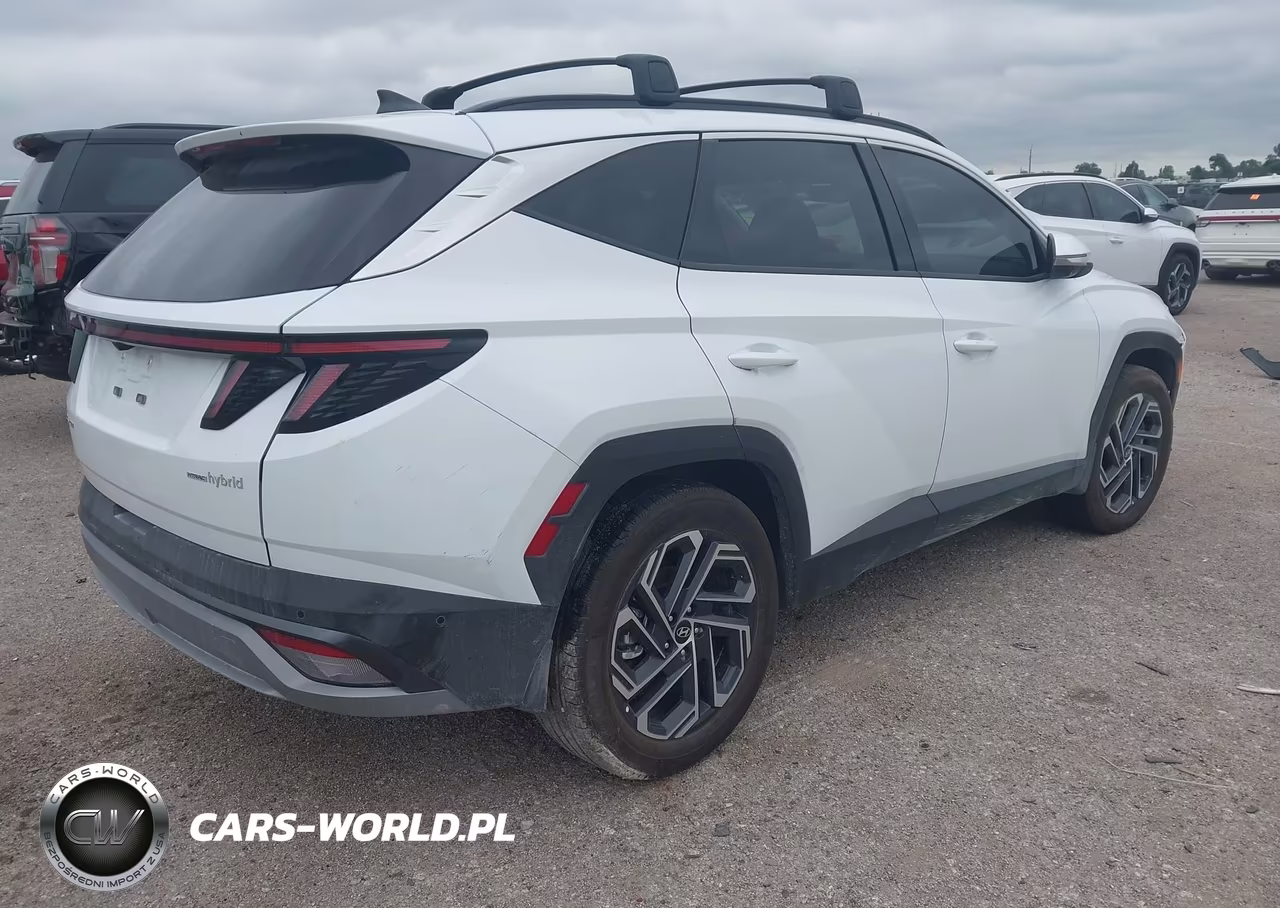 2025 Hyundai Tucson Hybrid Limited VIN:KM8JEDD17SU393082 - 4