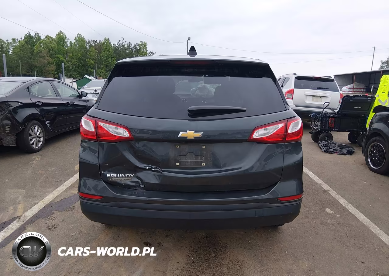 2019 Chevrolet Equinox Ls VIN:3GNAXHEV5KS503738 - 17