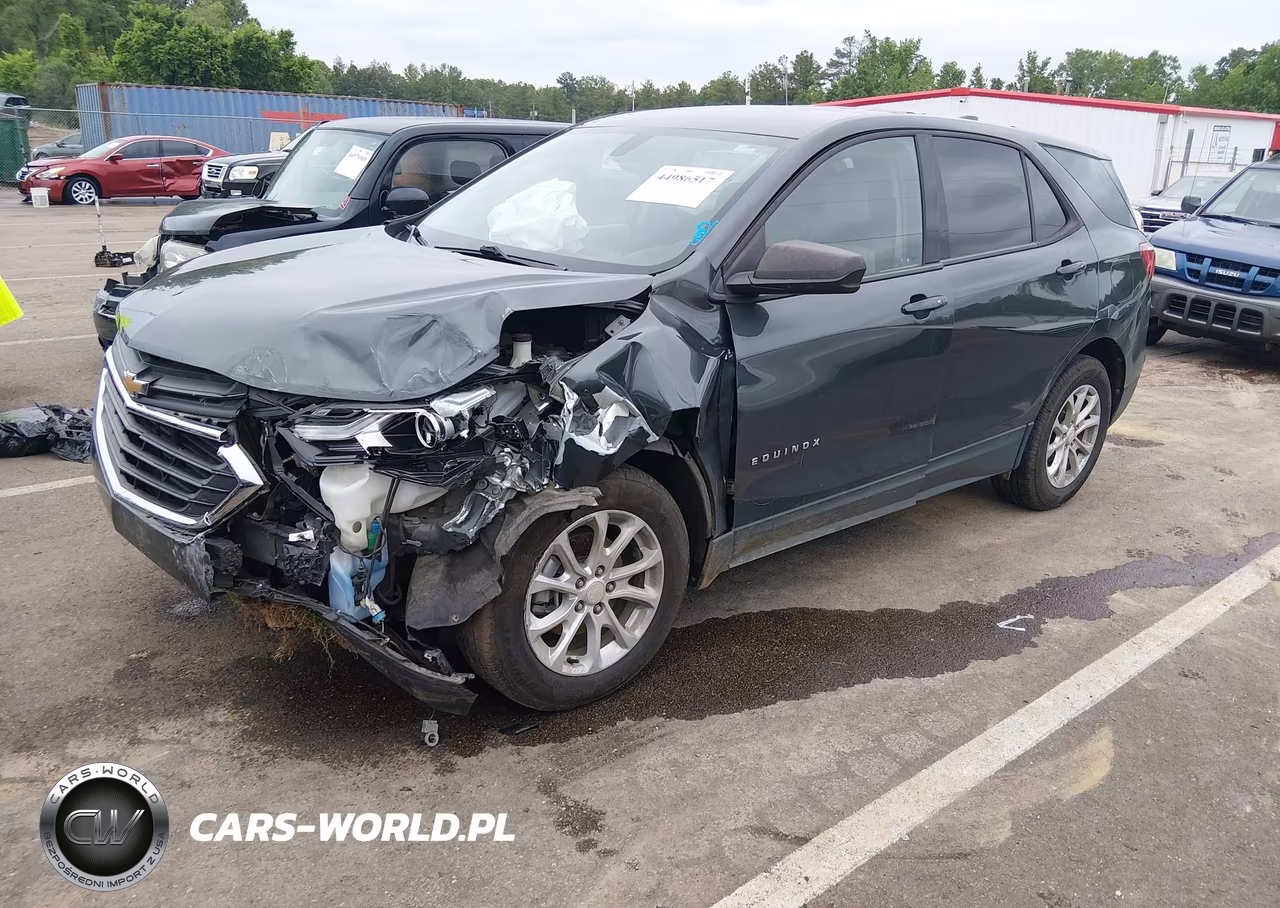 2019 Chevrolet Equinox Ls VIN:3GNAXHEV5KS503738 - 2