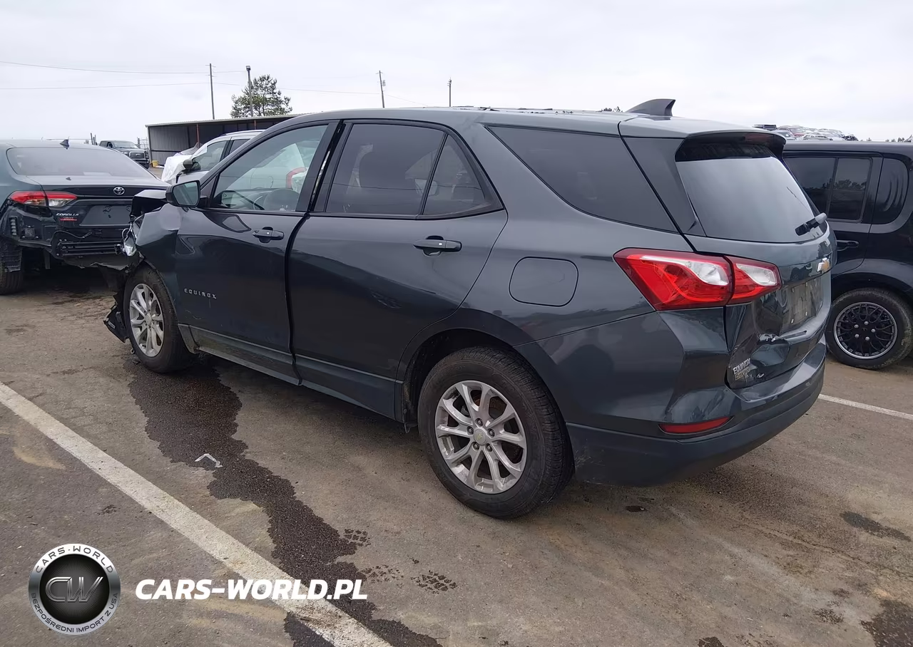 2019 Chevrolet Equinox Ls VIN:3GNAXHEV5KS503738 - 3